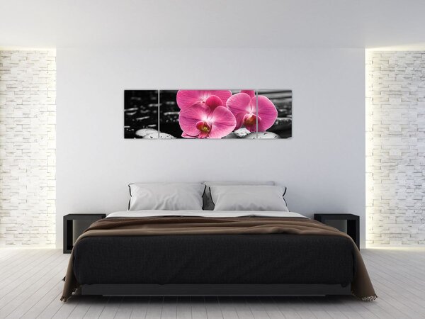Obraz - Różowe orchidee (170x50 cm)