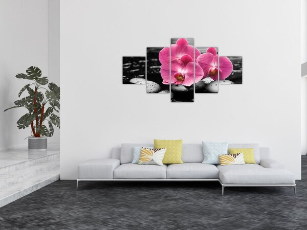 Obraz - Różowe orchidee (125x70 cm)