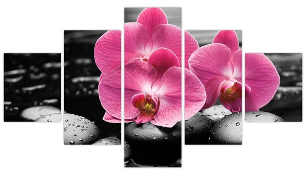 Obraz - Różowe orchidee (125x70 cm)