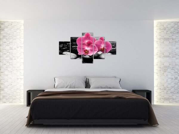 Obraz - Różowe orchidee (125x70 cm)