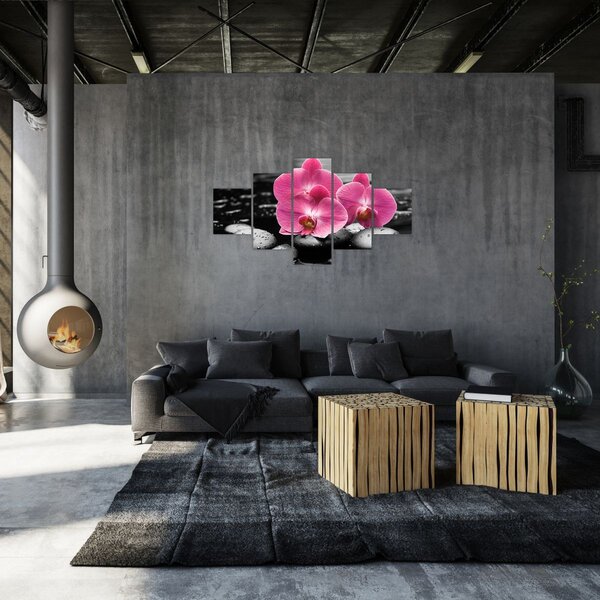 Obraz - Różowe orchidee (125x70 cm)