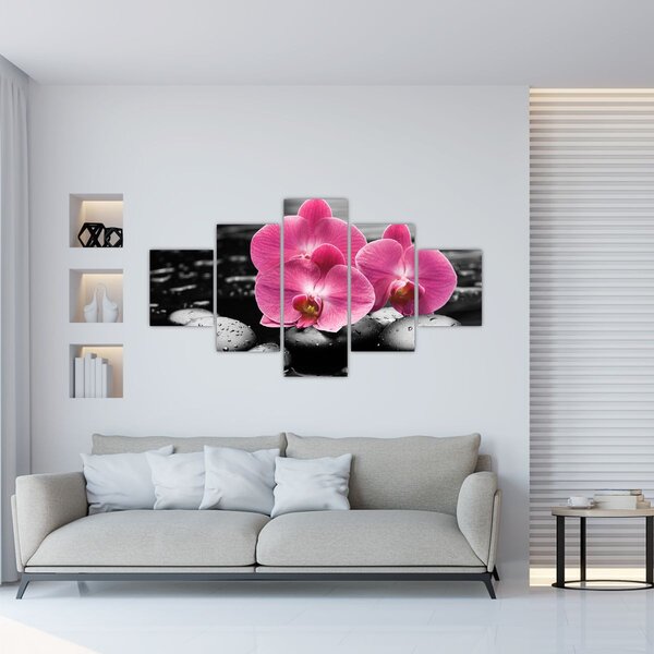 Obraz - Różowe orchidee (125x70 cm)