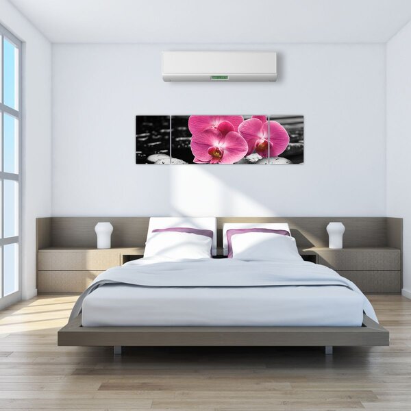 Obraz - Różowe orchidee (170x50 cm)