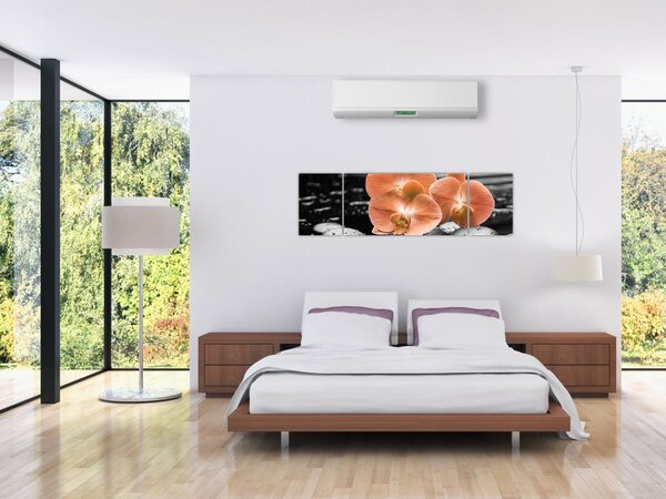 Obraz - Pomarańczowe orchidee (170x50 cm)