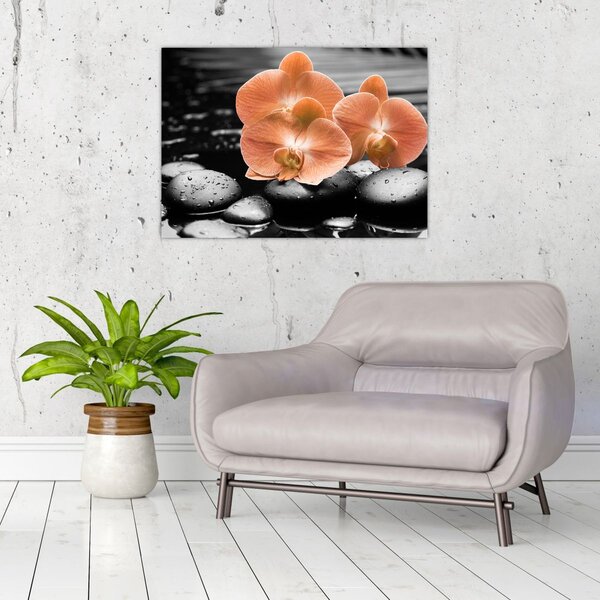 Obraz - Pomarańczowe orchidee (70x50 cm)