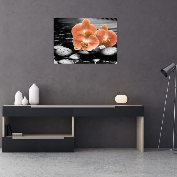Obraz - Pomarańczowe orchidee (70x50 cm)