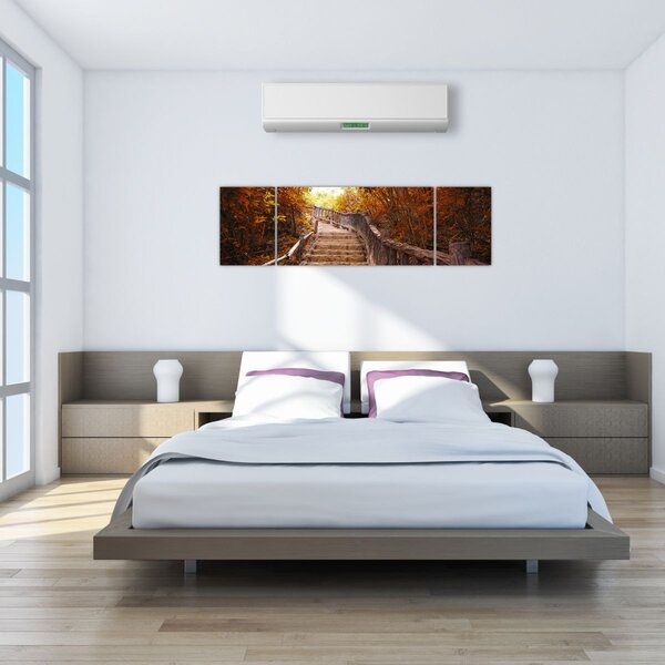 Obraz - Schody w naturze jesienią (170x50 cm)
