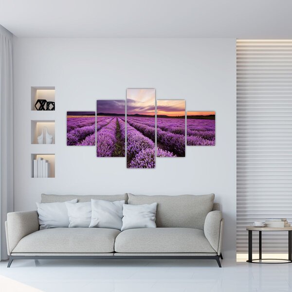 Obraz - Pole lawendy o zachodzie słońca (125x70 cm)