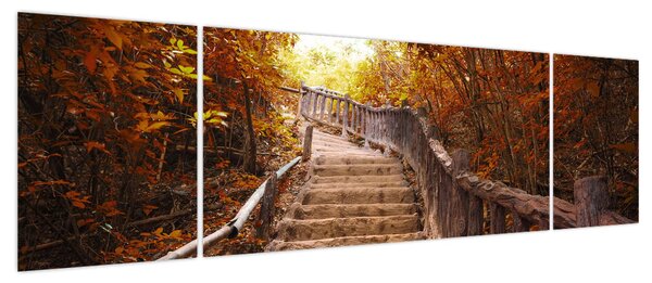 Obraz - Schody w naturze jesienią (170x50 cm)