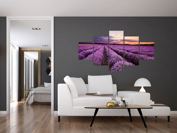 Obraz - Pole lawendy o zachodzie słońca (125x70 cm)