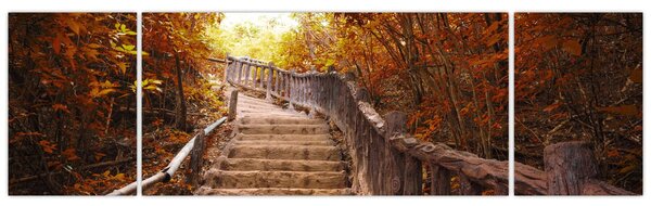 Obraz - Schody w naturze jesienią (170x50 cm)