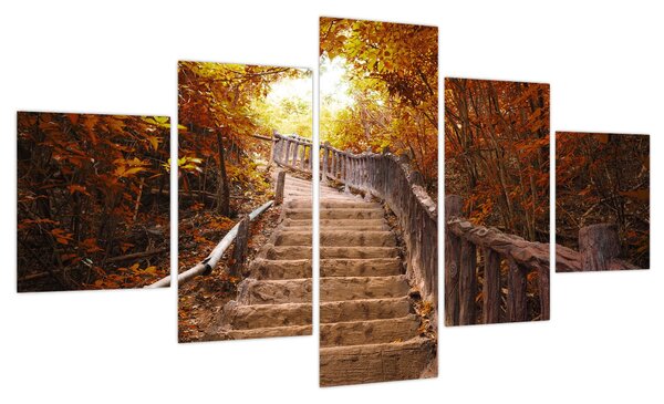 Obraz - Schody w naturze jesienią (125x70 cm)