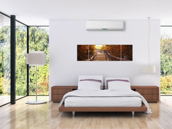 Obraz - Schody w naturze jesienią (170x50 cm)