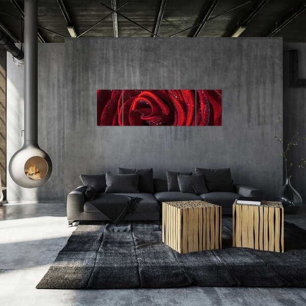 Obraz - Czerwona róża z kroplami rosy (170x50 cm)