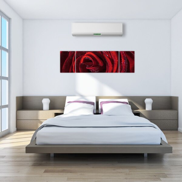 Obraz - Czerwona róża z kroplami rosy (170x50 cm)