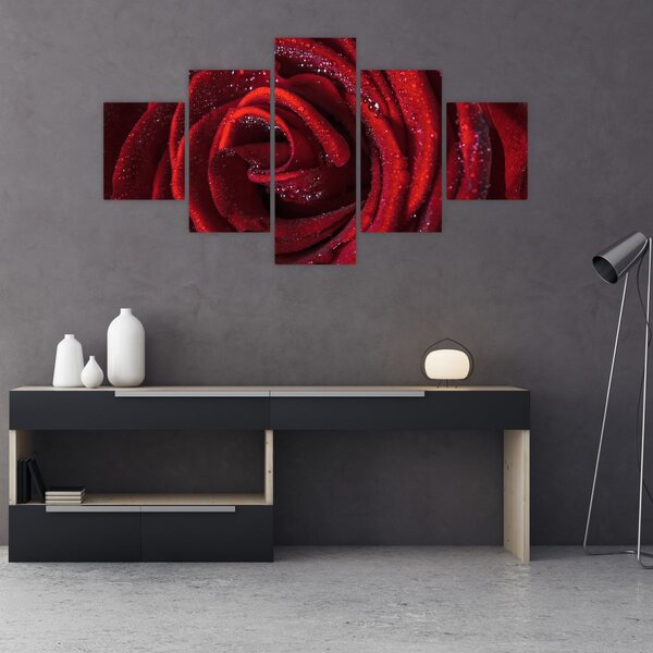 Obraz - Czerwona róża z kroplami rosy (125x70 cm)
