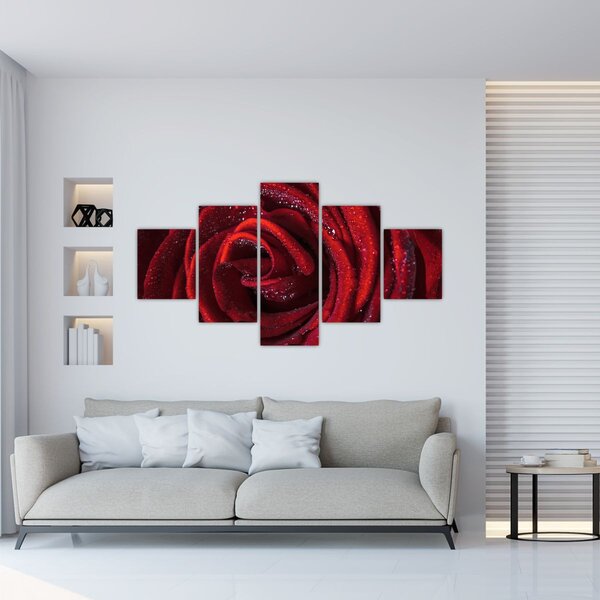 Obraz - Czerwona róża z kroplami rosy (125x70 cm)