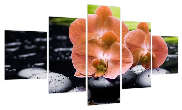 Obraz - Pomarańczowa orchidea z liśćmi palmy (125x70 cm)