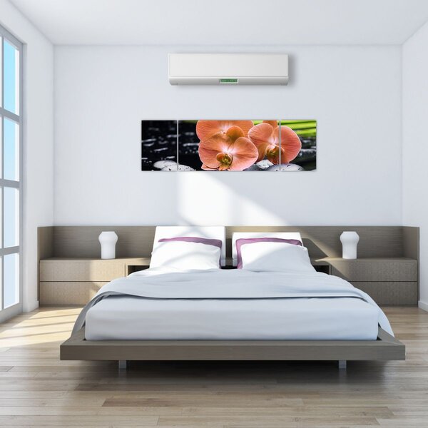 Obraz - Pomarańczowa orchidea z liśćmi palmy (170x50 cm)