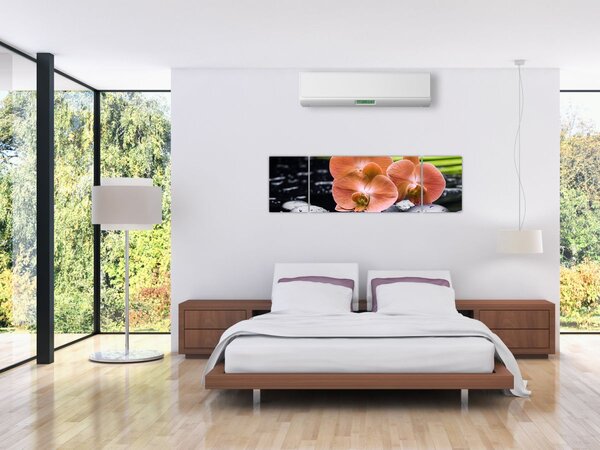 Obraz - Pomarańczowa orchidea z liśćmi palmy (170x50 cm)
