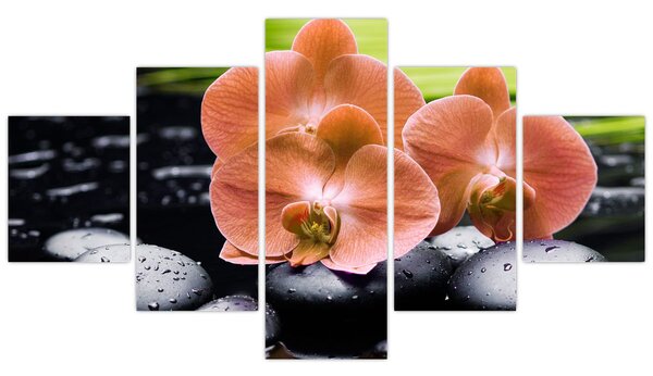 Obraz - Pomarańczowa orchidea z liśćmi palmy (125x70 cm)