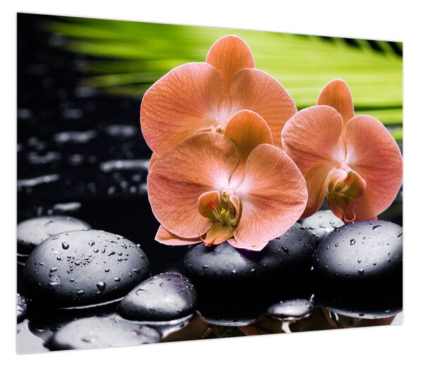 Obraz - Pomarańczowa orchidea z liśćmi palmy (70x50 cm)