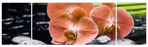 Obraz - Pomarańczowa orchidea z liśćmi palmy (170x50 cm)