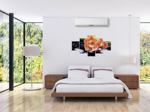 Obraz - Pomarańczowa orchidea z liśćmi palmy (125x70 cm)