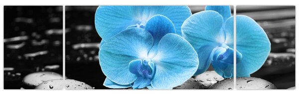 Obraz - Niebieska Orchidea (170x50 cm)