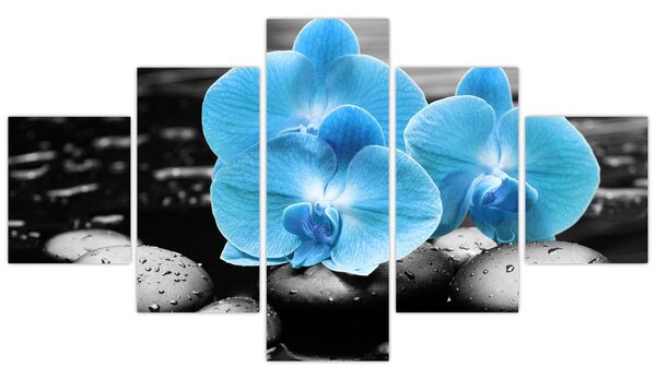 Obraz - Niebieska Orchidea (125x70 cm)
