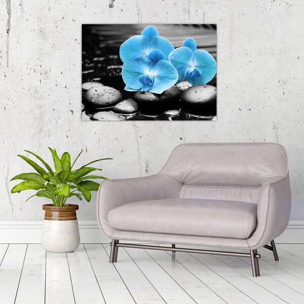 Obraz - Niebieska Orchidea (70x50 cm)