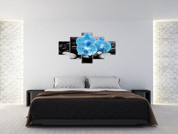 Obraz - Niebieska Orchidea (125x70 cm)