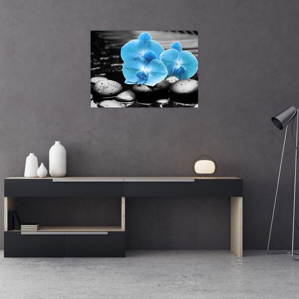 Obraz - Niebieska Orchidea (70x50 cm)