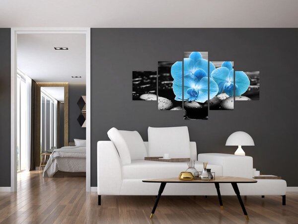 Obraz - Niebieska Orchidea (125x70 cm)
