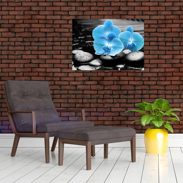 Obraz - Niebieska Orchidea (70x50 cm)