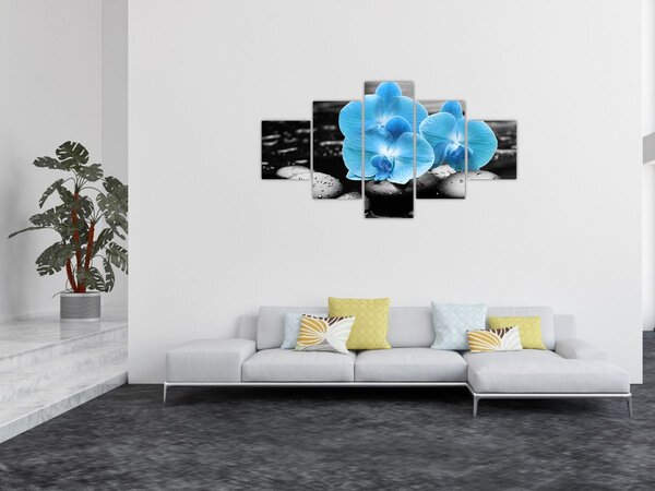 Obraz - Niebieska Orchidea (125x70 cm)