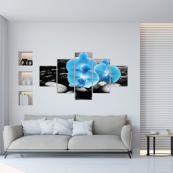 Obraz - Niebieska Orchidea (125x70 cm)