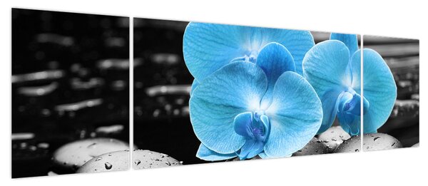 Obraz - Niebieska Orchidea (170x50 cm)