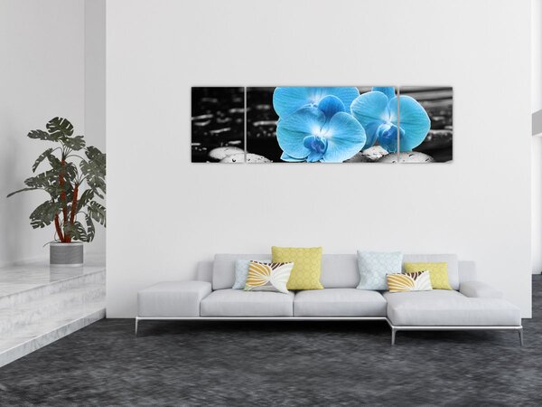 Obraz - Niebieska Orchidea (170x50 cm)