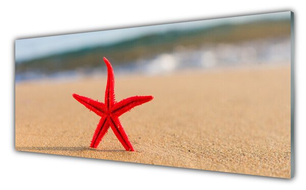 Obraz na Szkle Plaża Rozgwiazda Sztuka