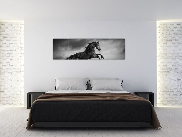 Obraz - Czarny i biały koń (170x50 cm)