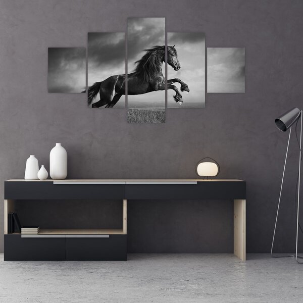 Obraz - Czarny i biały koń (125x70 cm)