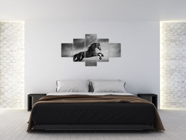 Obraz - Czarny i biały koń (125x70 cm)