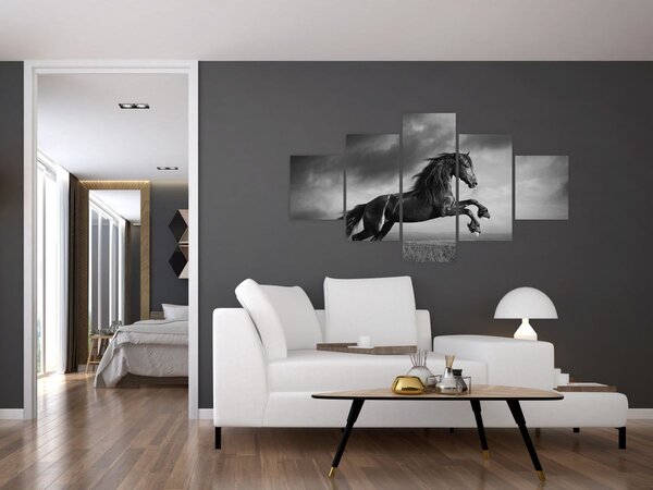 Obraz - Czarny i biały koń (125x70 cm)