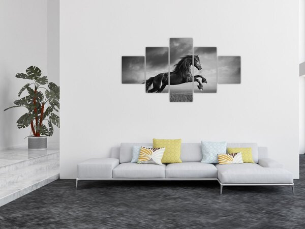Obraz - Czarny i biały koń (125x70 cm)