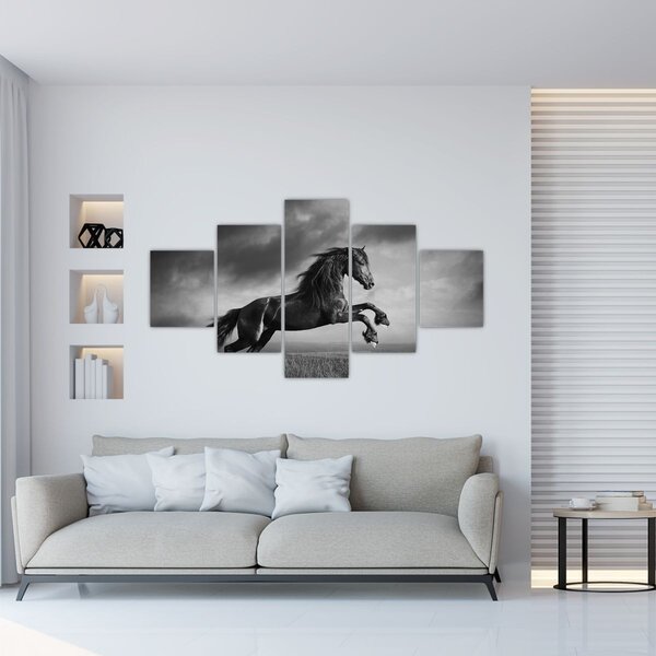 Obraz - Czarny i biały koń (125x70 cm)