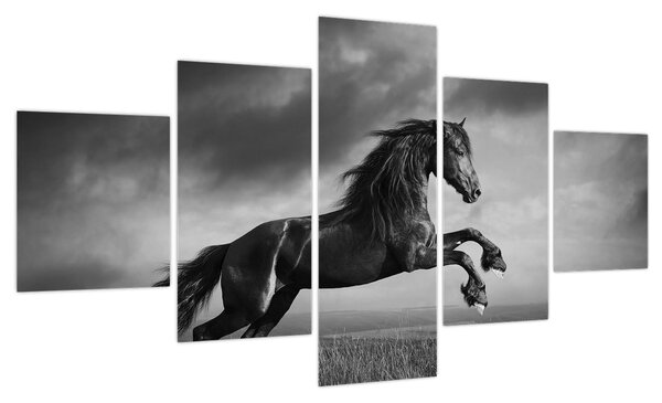 Obraz - Czarny i biały koń (125x70 cm)