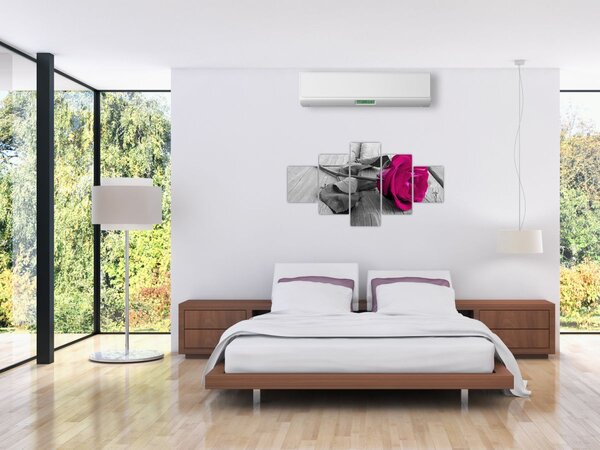 Obraz - Różowa róża (125x70 cm)