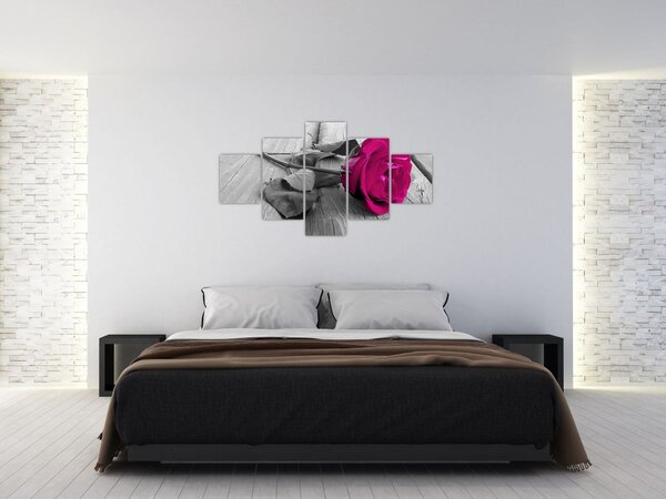 Obraz - Różowa róża (125x70 cm)