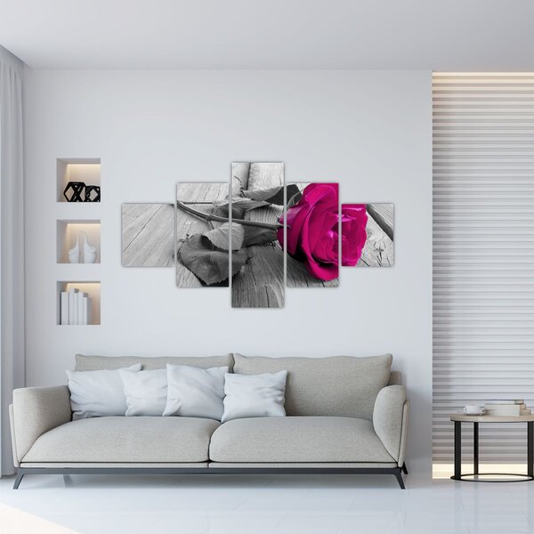 Obraz - Różowa róża (125x70 cm)